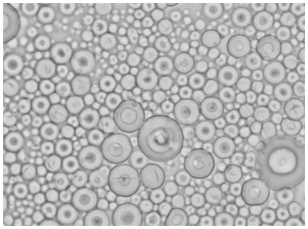 Ang pinakabagong patent para sa paraan ng paghahanda ng spherical silicon micro powder