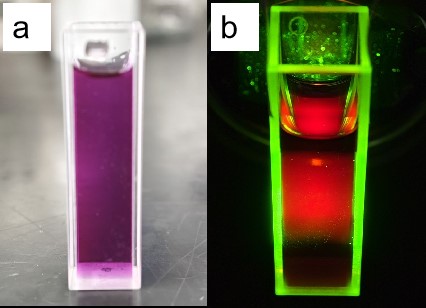 Ano ang mga pamamaraan ng synthesis at aplikasyon ng mga tuldok na quantum ng carbon