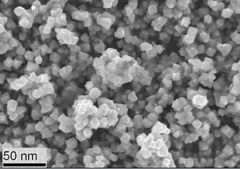 Iron Oxide Nanoparticle sa High-Resolution Magnetosensitive Weighted Imaging