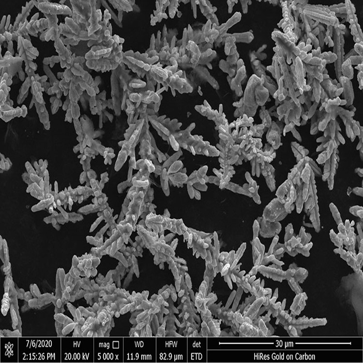 Dendritic silver coated copper powder